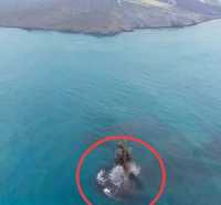 Daratan misterius 30 ha muncul usai erupsi Anak Krakatau, calon Cucu Krakatau?