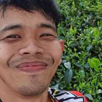 Komedian Dede Sunandar tak sadarkan diri usai dijotos Vicky Prasetyo di atas ring